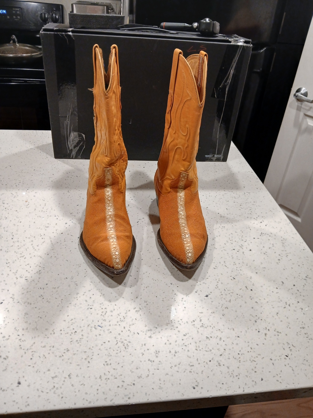 Women’s Tan Western Cowboy Boots with Metallic Accent